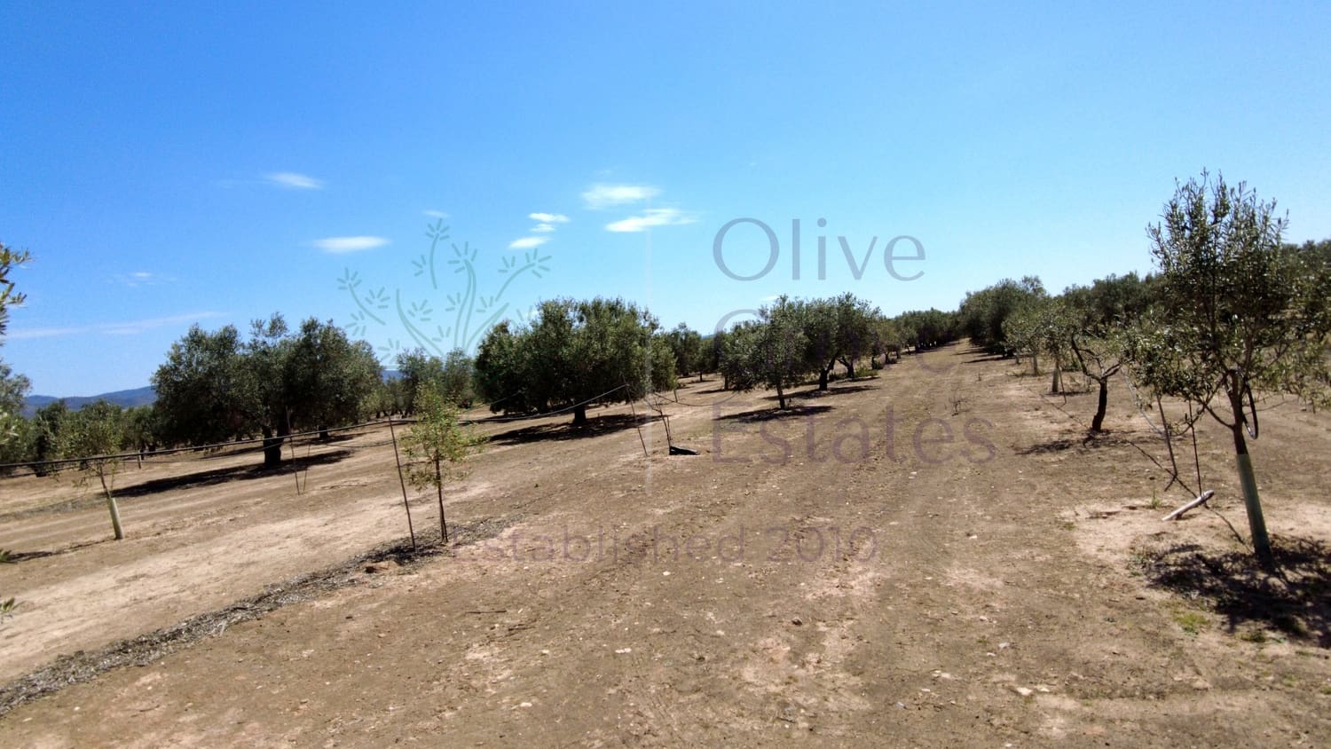 1 bedroom Finca/Country House for sale in Caudete - € 24,000 (Ref: 9844195)