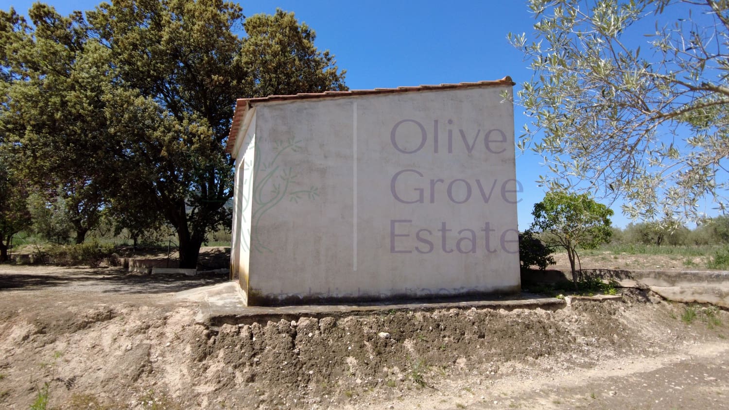 1 bedroom Finca/Country House for sale in Caudete - € 24,000 (Ref: 9844195)