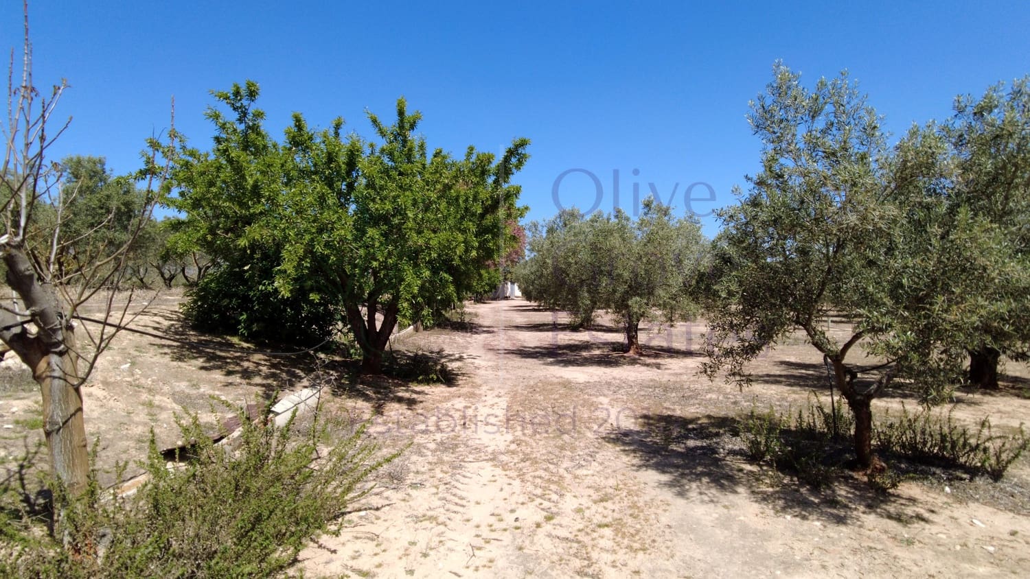 1 bedroom Finca/Country House for sale in Caudete - € 24,000 (Ref: 9844195)