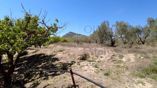 1 soverom Finca/Herregård til salgs i Caudete - € 24 000 (Ref: 9844195)