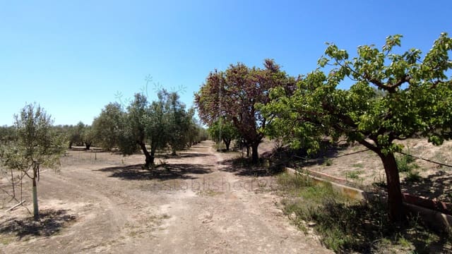 1 soverom Finca/Herregård til salgs i Caudete - € 24 000 (Ref: 9844195)