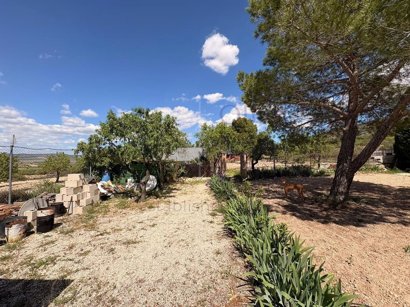 3 camera da letto Finca/Casa di Campagna in vendita in Yecla - 149.950 € (Rif: 9858611)