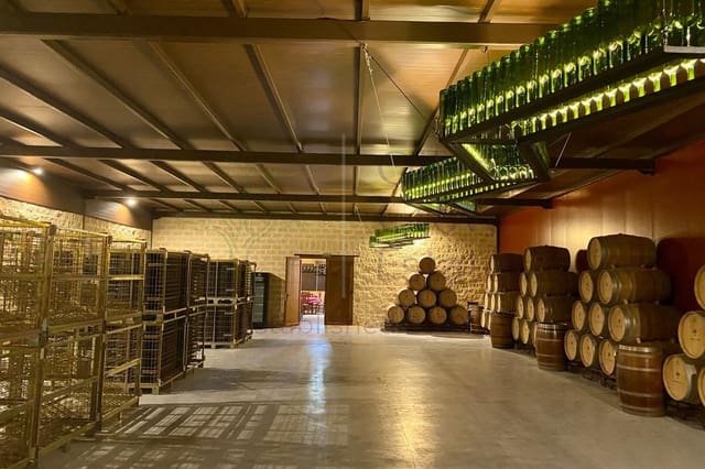 Commerciale in vendita in Fuentealbilla - 2.500.000 € (Rif: 9909041)