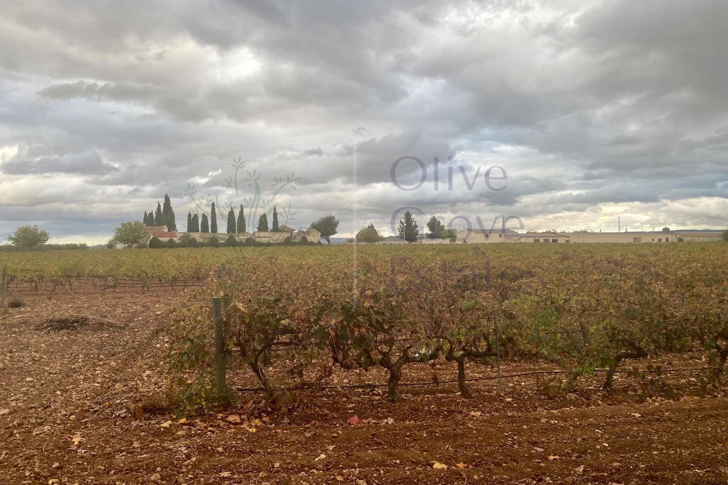 Commerciale in vendita in Fuentealbilla - 2.500.000 € (Rif: 9909041)