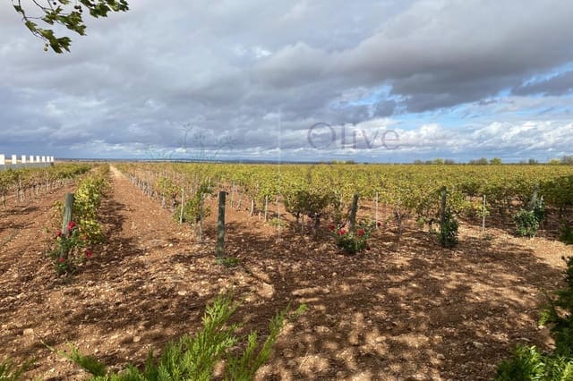Commerciale in vendita in Fuentealbilla - 2.500.000 € (Rif: 9909041)