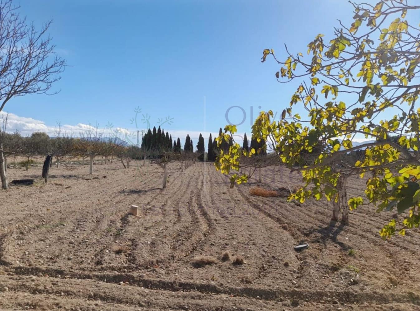 3 bedroom Finca/Country House for sale in Onil with pool - € 299,000 (Ref: 9922921)