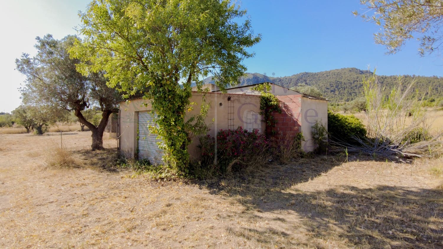 3 bedroom Finca/Country House for sale in Sax with pool garage - € 299,950 (Ref: 9928472)