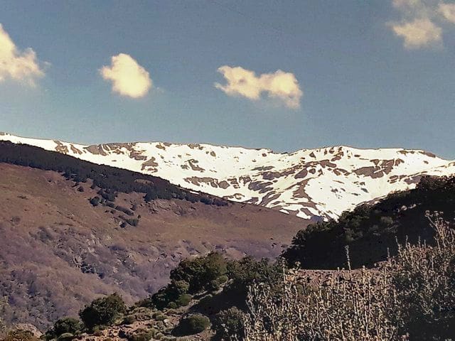 4 soveværelse Finca/Landehus til salg i Capileira med swimmingpool - € 430.000 (Ref: 4523789)