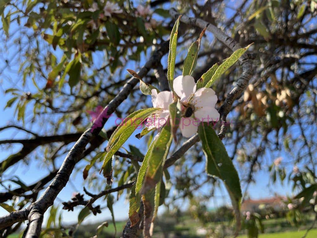 4 camera da letto Casa in vendita in Cuevas del Almanzora - 99.000 € (Rif: 6609206)