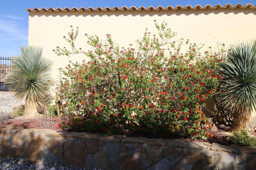 3 soveværelse Byhus til salg i Albox med swimmingpool - € 239.000 (Ref: 7844086)