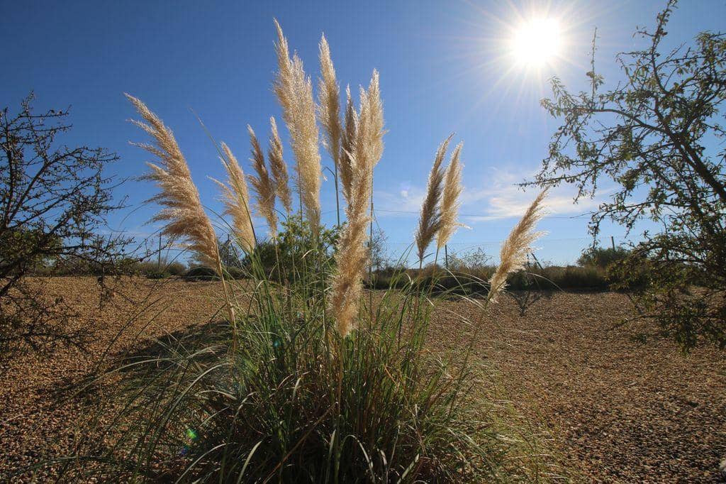 3 soveværelse Byhus til salg i Albox med swimmingpool - € 239.000 (Ref: 7844086)