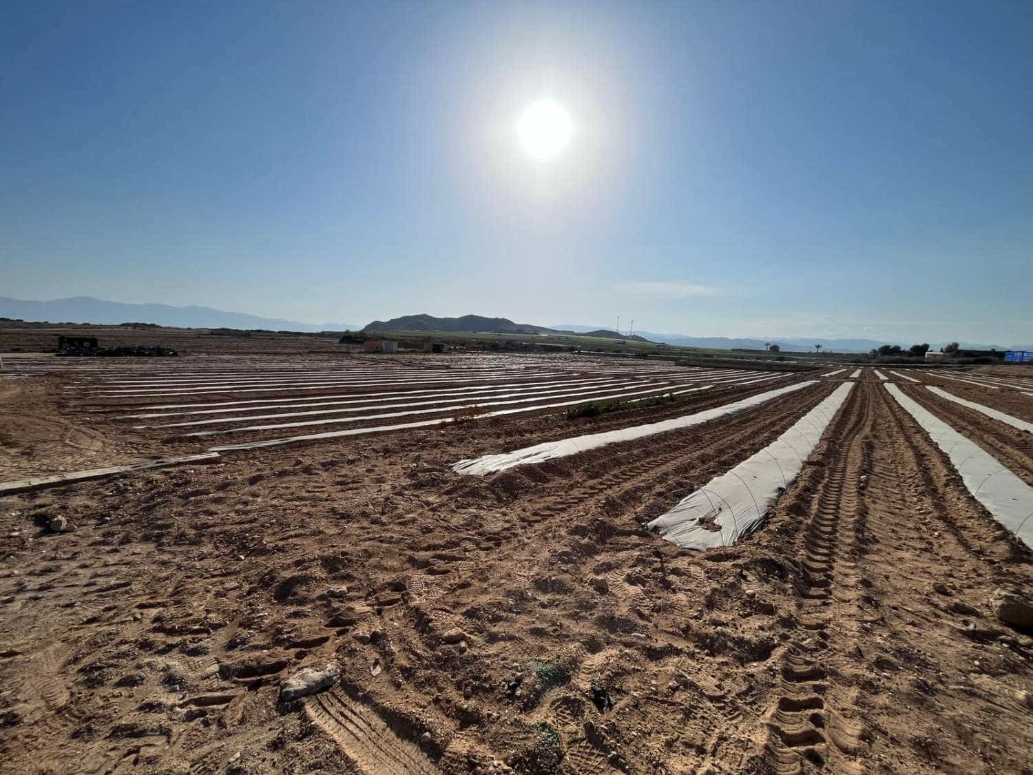 2 sovrum Finca/Hus på landet till salu i Antas - 430 000 € (Ref: 8827300)