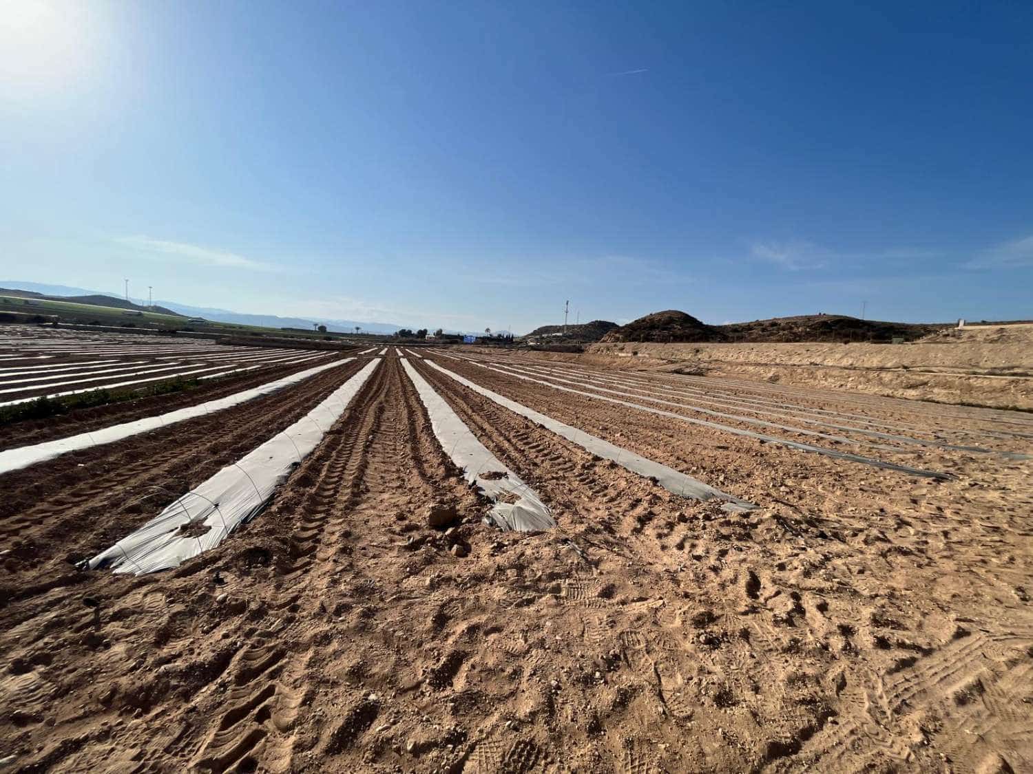 2 sovrum Finca/Hus på landet till salu i Antas - 430 000 € (Ref: 8827300)