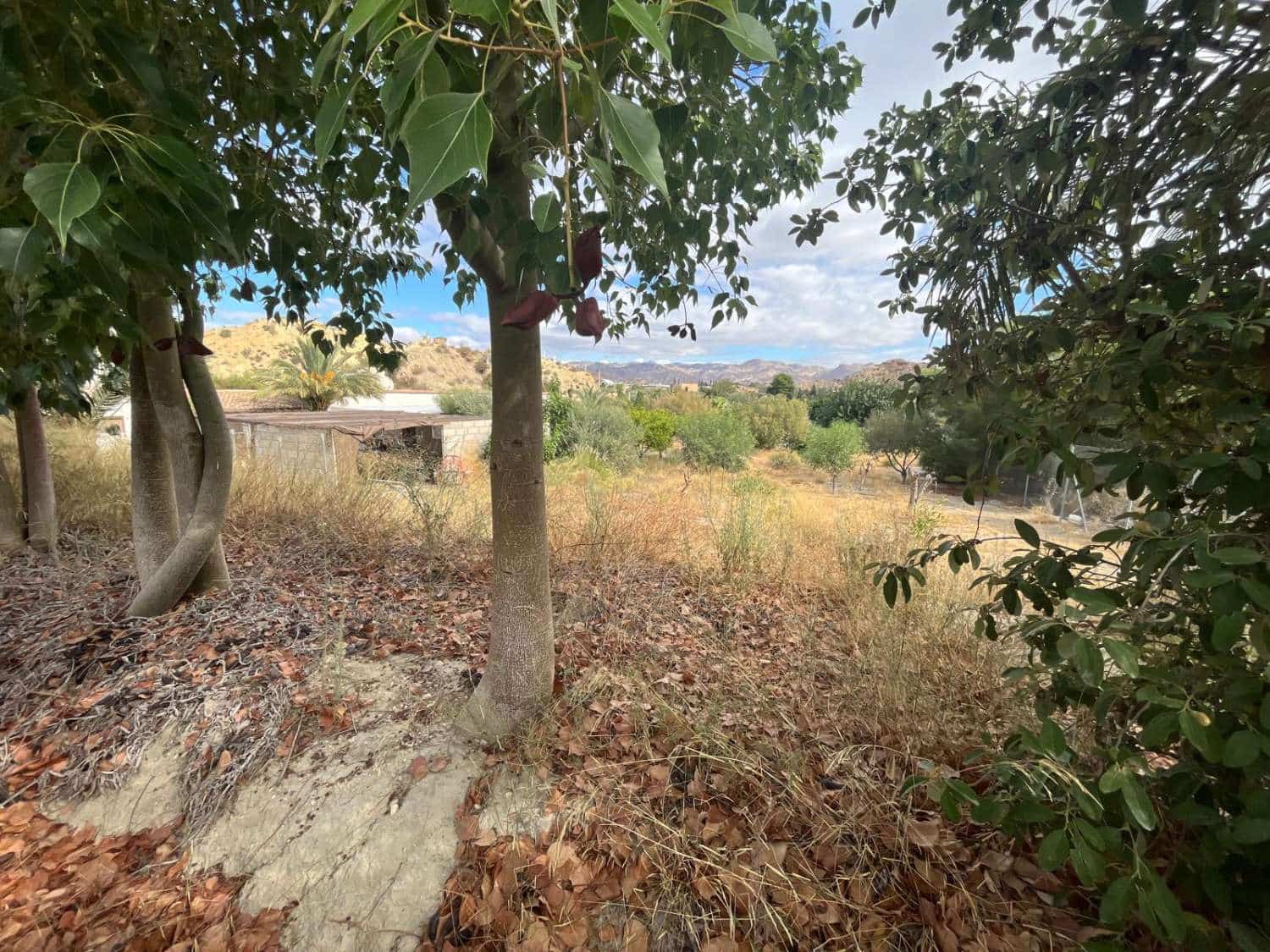 5 makuuhuone Maalaistalo myytävänä paikassa Cuevas del Almanzora mukana uima-altaan - 180 000 € (Ref: 9375033)