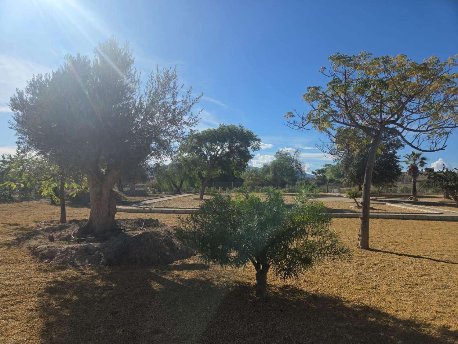 4 sovrum Villa att hyra i Vera - 1 700 € (Ref: 9403006)