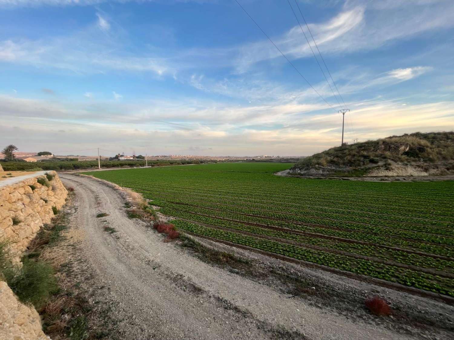 2 bedroom Finca/Country House for rent in Vera - € 1,200 (Ref: 9451781)