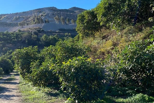 3 quarto Quinta/Casa Rural para venda em Motril com piscina - 600 000 € (Ref: 9386241)