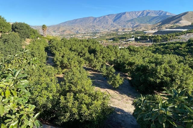 3 quarto Quinta/Casa Rural para venda em Motril com piscina - 600 000 € (Ref: 9386241)