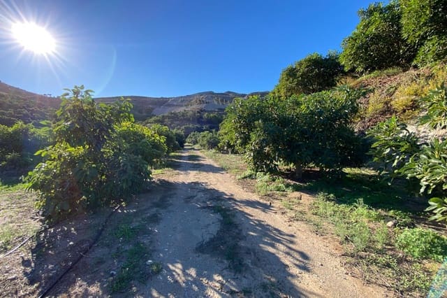 3 quarto Quinta/Casa Rural para venda em Motril com piscina - 600 000 € (Ref: 9386241)