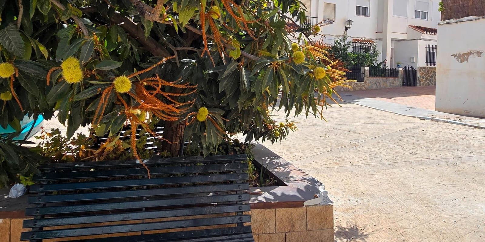 Tontti myytävänä paikassa Lanjaron - 45 000 € (Ref: 9386253)