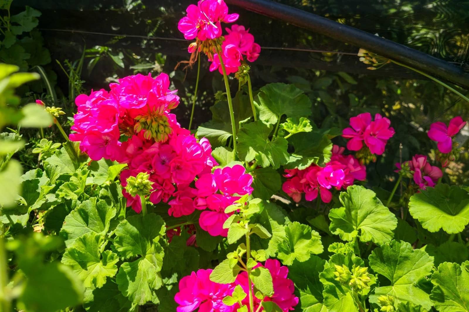 1 bedroom Finca/Country House for sale in Lanjaron - € 55,000 (Ref: 9502645)