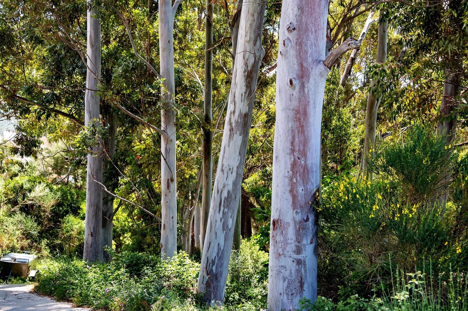 1 bedroom Finca/Country House for sale in Lanjaron - € 55,000 (Ref: 9502645)