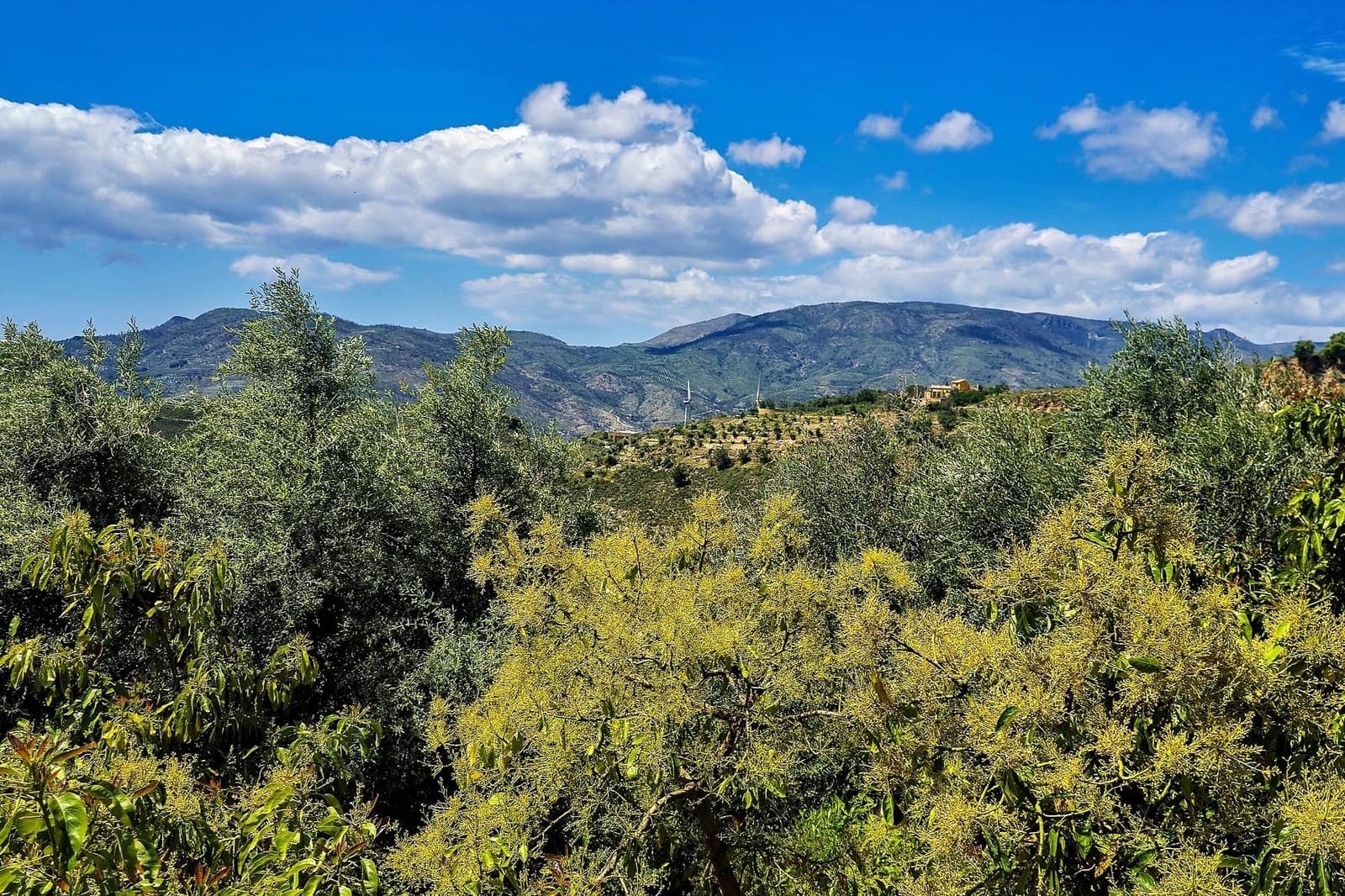 1 bedroom Finca/Country House for sale in Lanjaron - € 55,000 (Ref: 9502645)