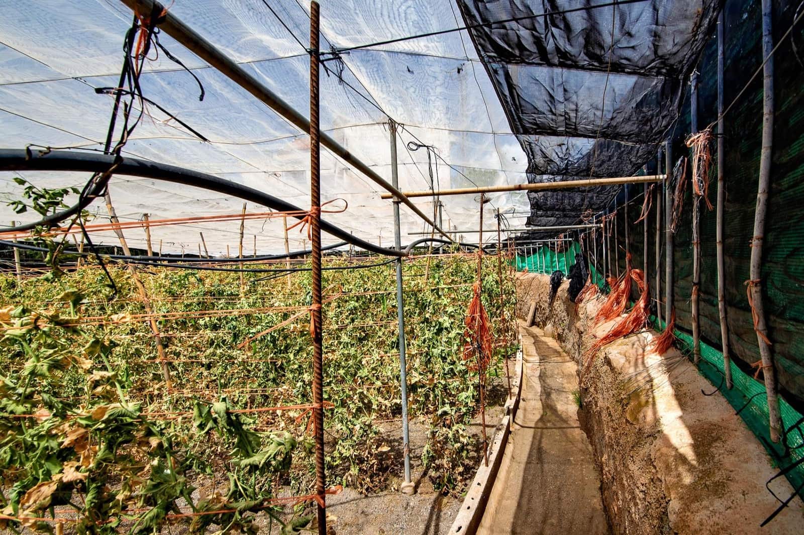 1 bedroom Finca/Country House for sale in Lanjaron - € 55,000 (Ref: 9502645)