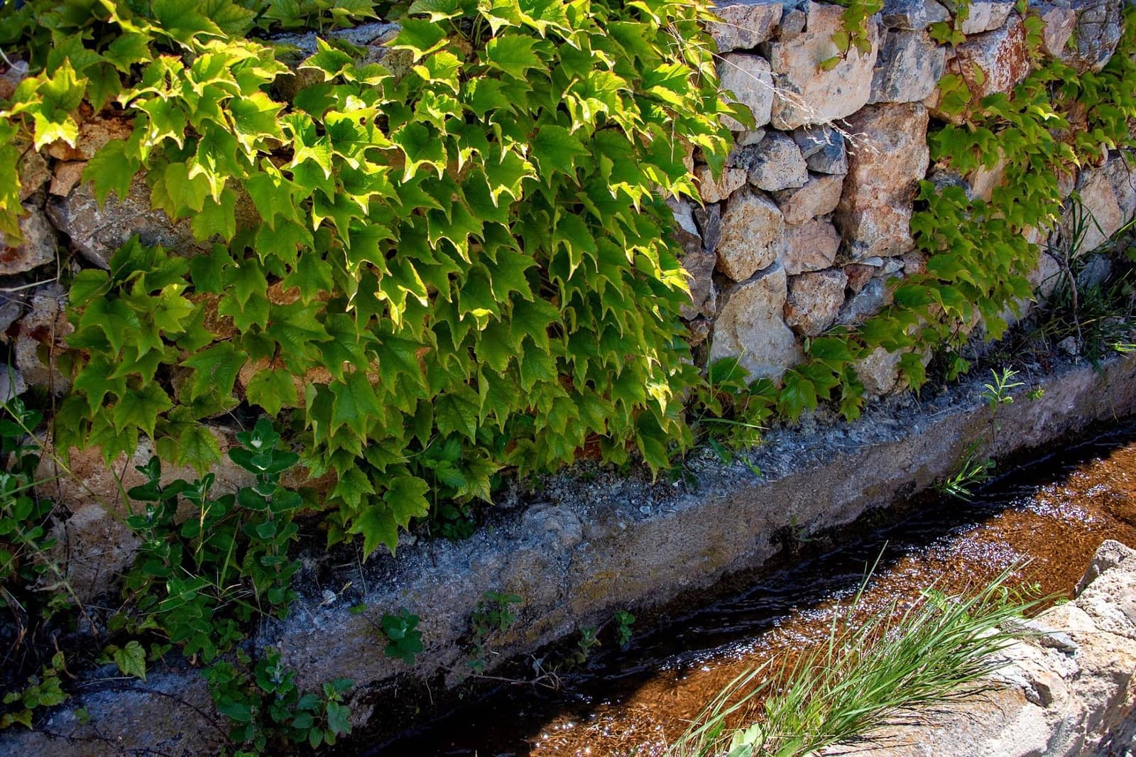 1 bedroom Finca/Country House for sale in Lanjaron - € 55,000 (Ref: 9502645)