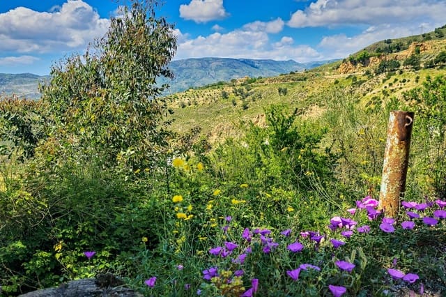 1 sypialnia Finka/Dom wiejski na sprzedaż w Lanjarón - 55 000 € (Ref: 9502645)