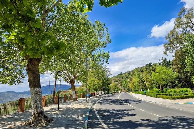 1 sypialnia Finka/Dom wiejski na sprzedaż w Lanjarón - 55 000 € (Ref: 9502645)