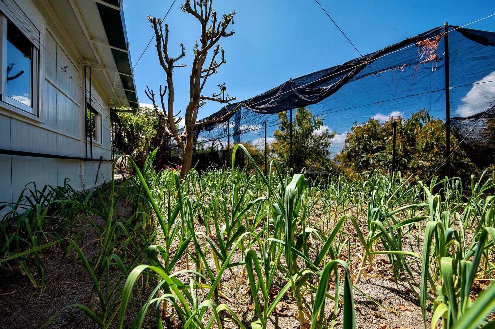 1 bedroom Finca/Country House for sale in Lanjaron - € 55,000 (Ref: 9502645)