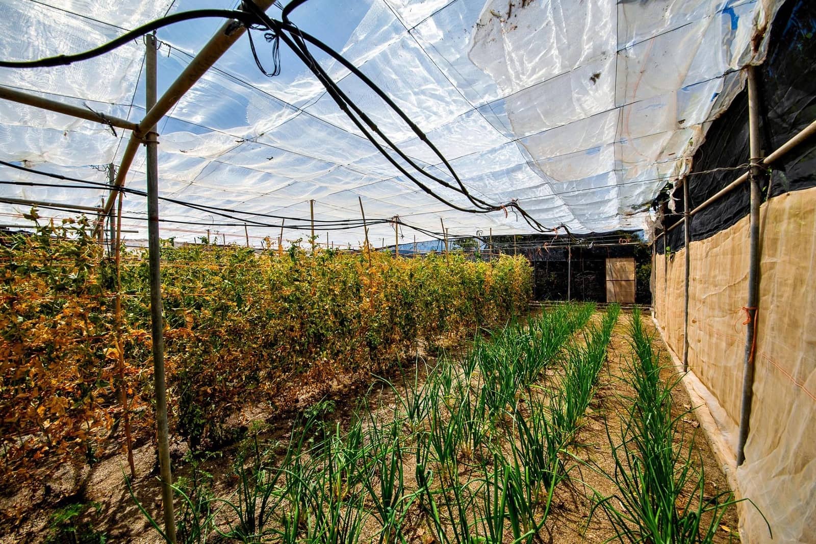 1 bedroom Finca/Country House for sale in Lanjaron - € 55,000 (Ref: 9502645)