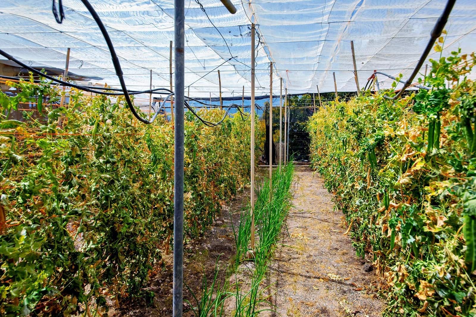 1 bedroom Finca/Country House for sale in Lanjaron - € 55,000 (Ref: 9502645)