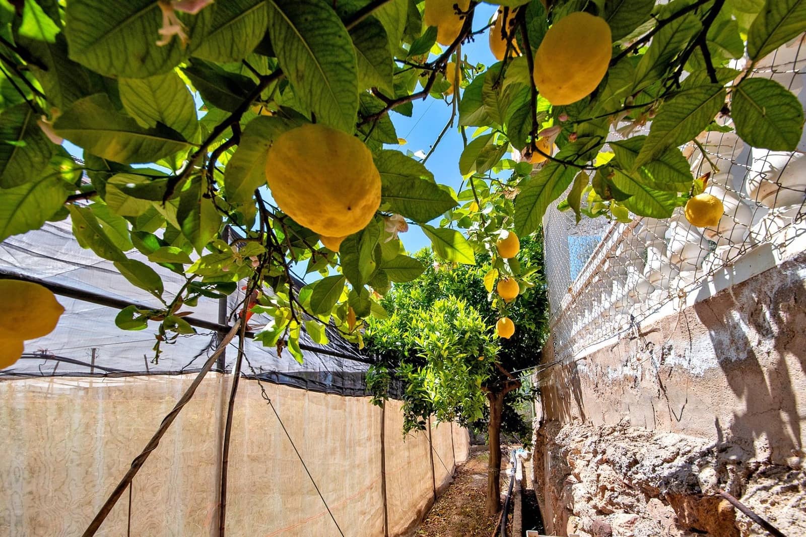 1 bedroom Finca/Country House for sale in Lanjaron - € 55,000 (Ref: 9502645)