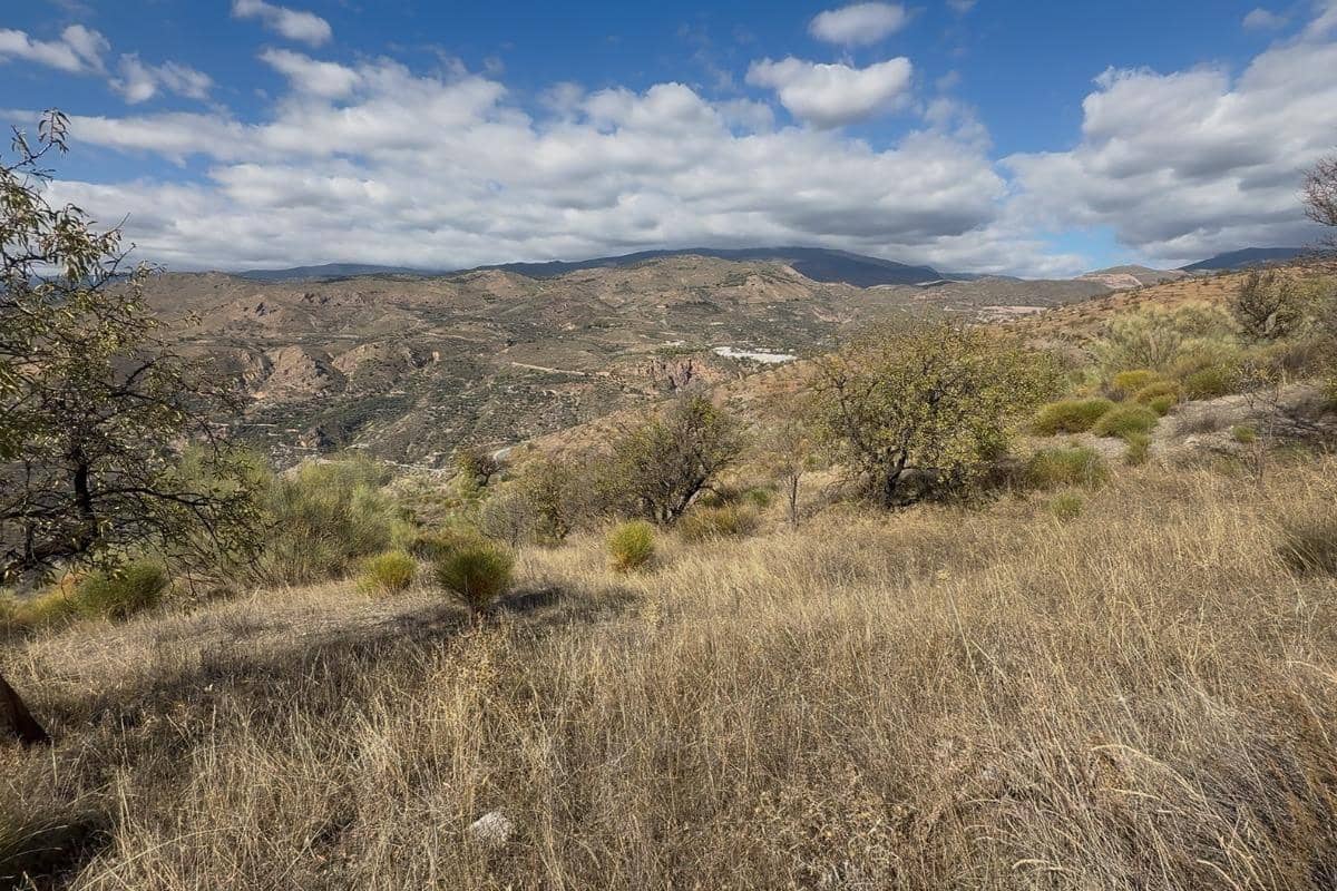 Grunde uden byggetilladelser til salg i Torvizcon - € 70.000 (Ref: 9513613)