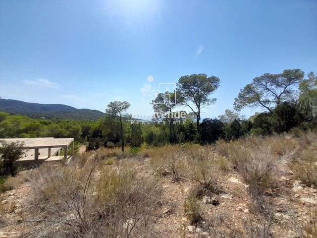 Byggegrund til salg i Cala Tarida, San Jose / Sant Josep de Sa Talaia - € 1.810.000 (Ref: 10021190)