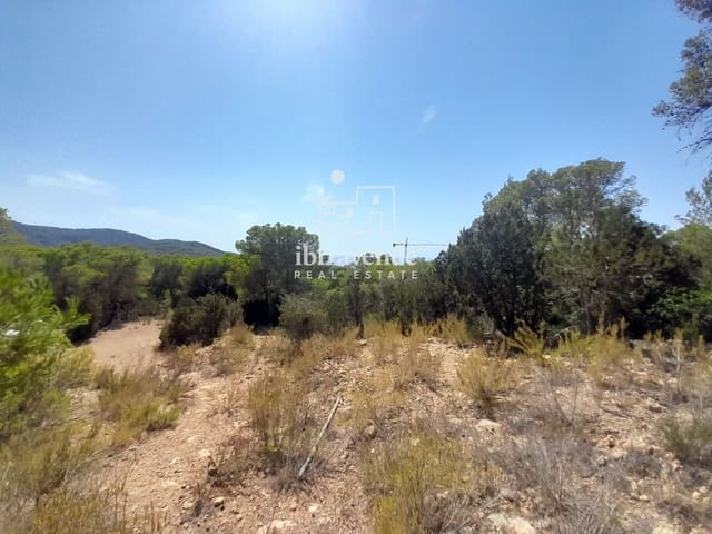 Byggegrund til salg i Cala Tarida, San Jose / Sant Josep de Sa Talaia - € 1.810.000 (Ref: 10021190)