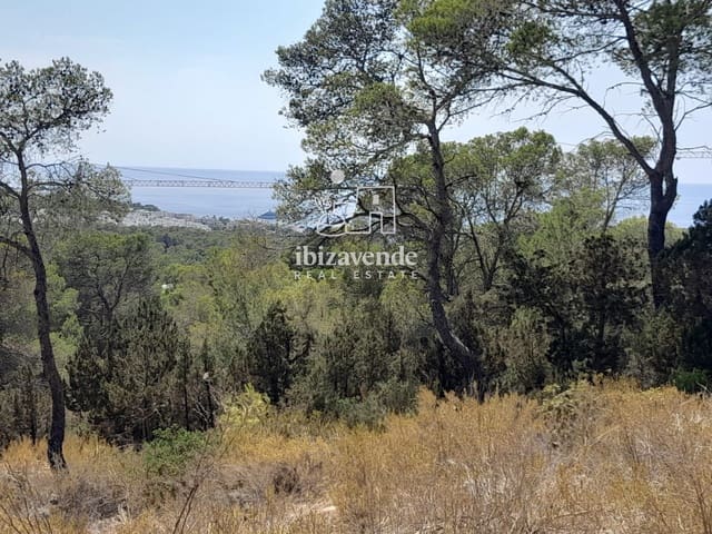 Byggegrund til salg i Cala Tarida, San Jose / Sant Josep de Sa Talaia - € 1.810.000 (Ref: 10021190)