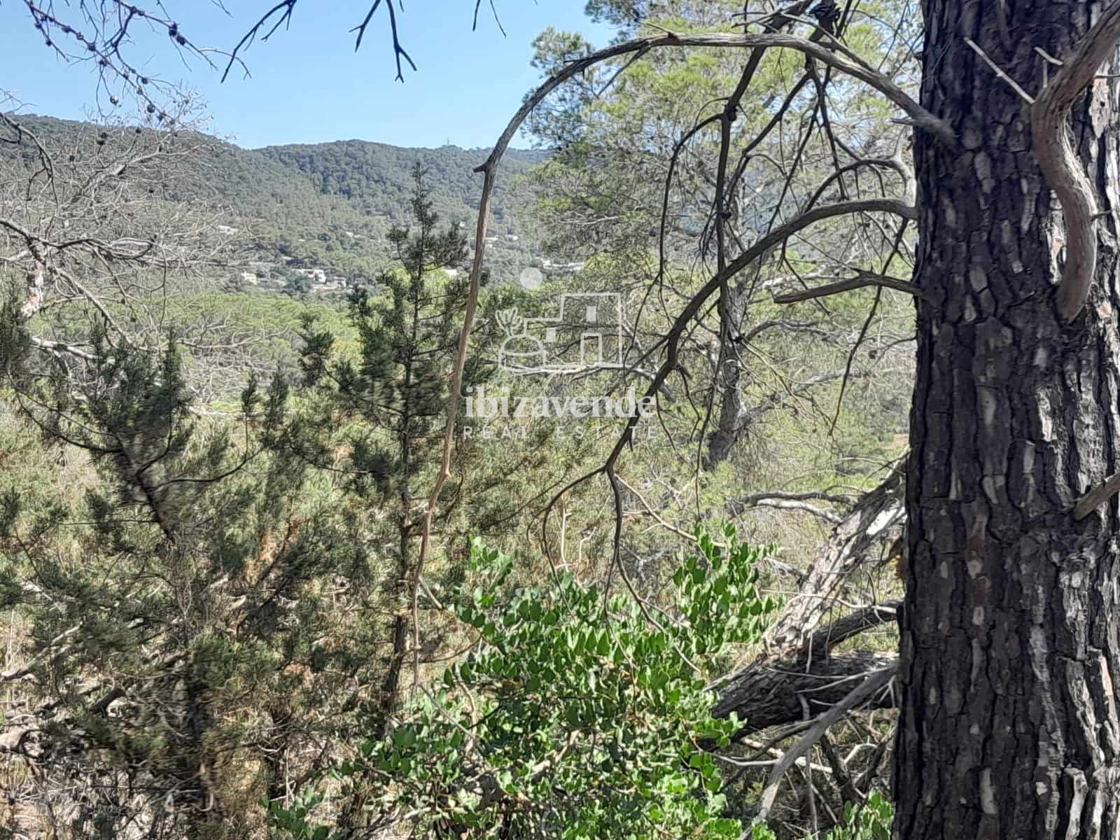 Byggegrund til salg i Cala Tarida - € 1.810.000 (Ref: 10021190)