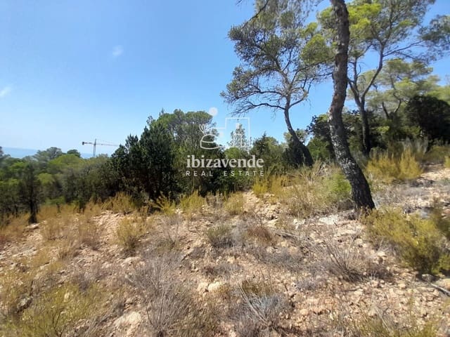 Byggegrund til salg i Cala Tarida, San Jose / Sant Josep de Sa Talaia - € 1.810.000 (Ref: 10021190)