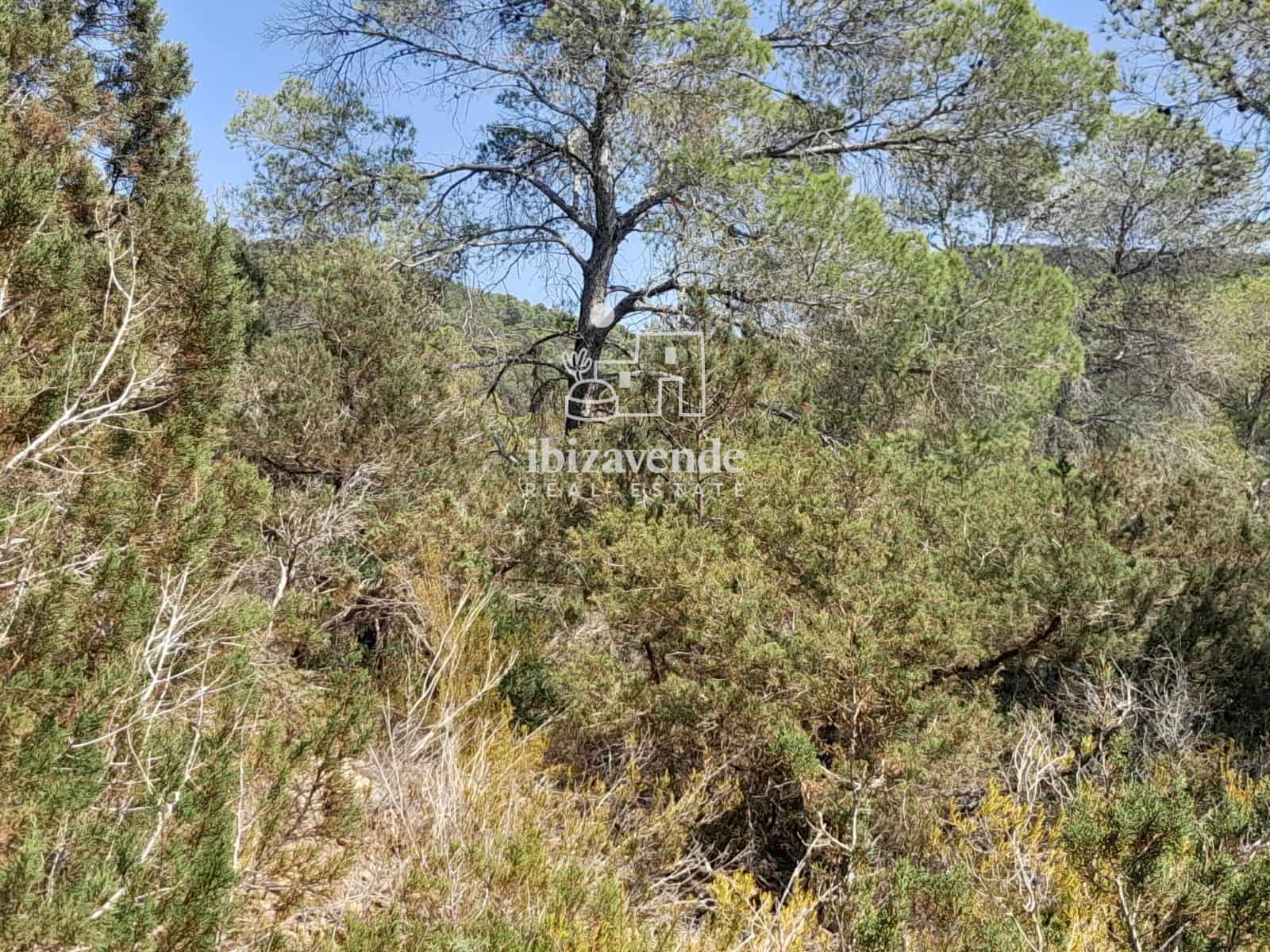 Byggegrund til salg i Cala Tarida - € 1.810.000 (Ref: 10021190)
