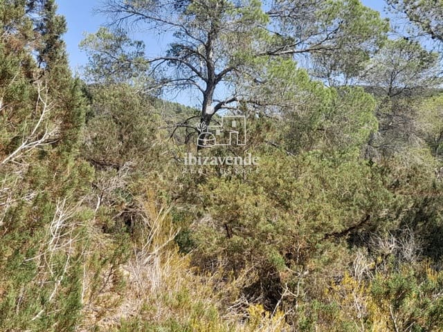 Byggegrund til salg i Cala Tarida, San Jose / Sant Josep de Sa Talaia - € 1.810.000 (Ref: 10021190)