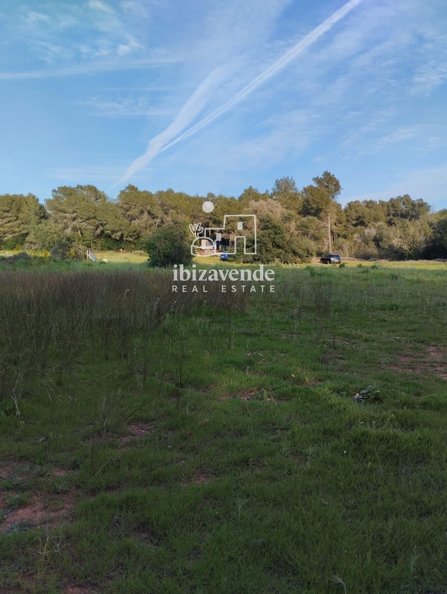 Area Edificabile in vendita in Santa Eulalia / Santa Eularia - 1.350.000 € (Rif: 10057586)