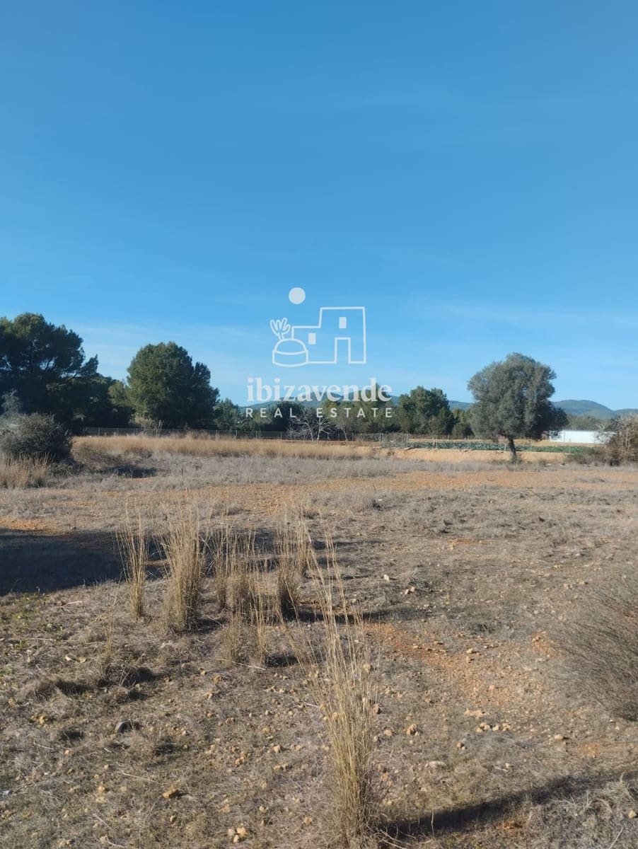 Area Edificabile in vendita in Santa Eulalia / Santa Eularia - 1.350.000 € (Rif: 10057586)