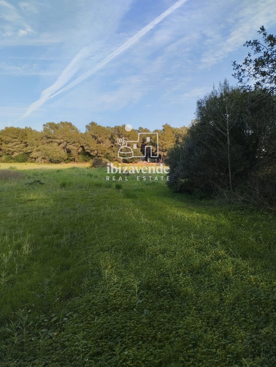 Area Edificabile in vendita in Santa Eulalia / Santa Eularia - 1.350.000 € (Rif: 10057586)