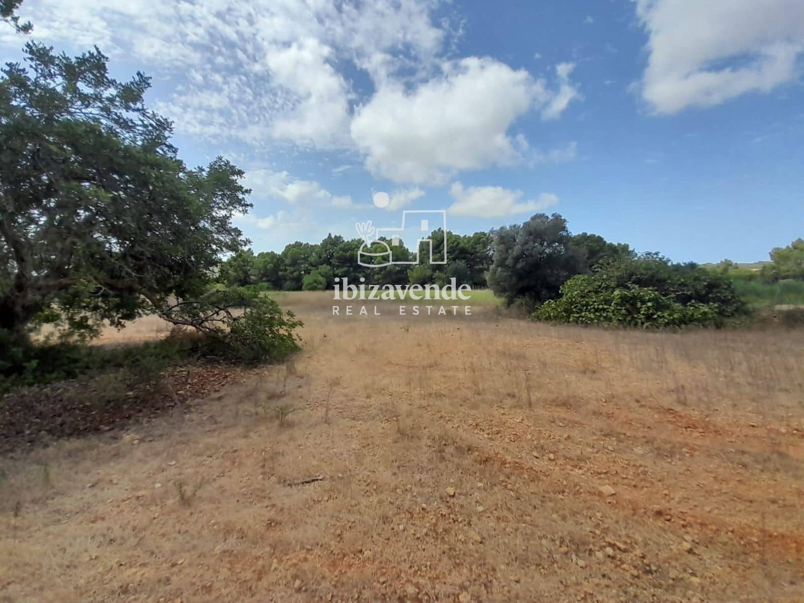 Area Edificabile in vendita in Santa Eulalia / Santa Eularia - 1.350.000 € (Rif: 10057586)