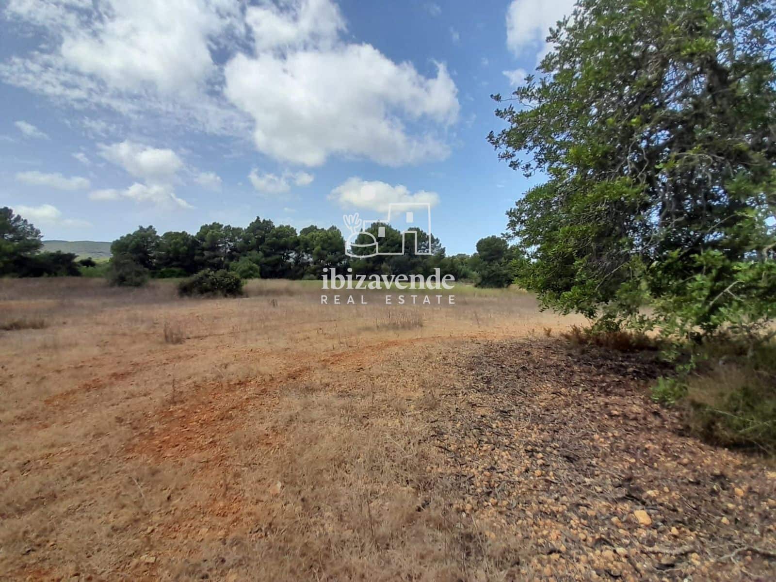 Area Edificabile in vendita in Santa Eulalia / Santa Eularia - 1.350.000 € (Rif: 10057586)