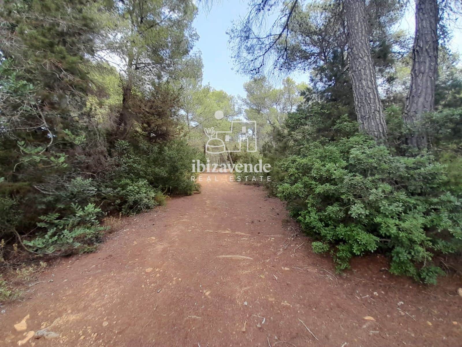 Area Edificabile in vendita in Santa Eulalia / Santa Eularia - 1.350.000 € (Rif: 10057586)