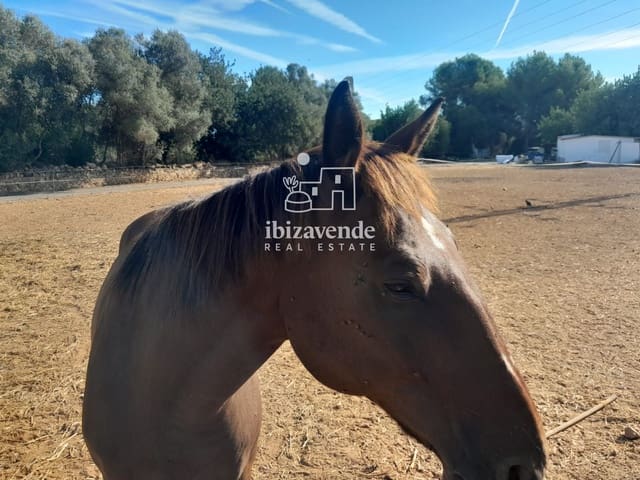 Terrain à Bâtir à vendre à Sant Llorenç de Balafia, Sant Joan de Labritja - 1 200 000 € (Ref: 10082187)